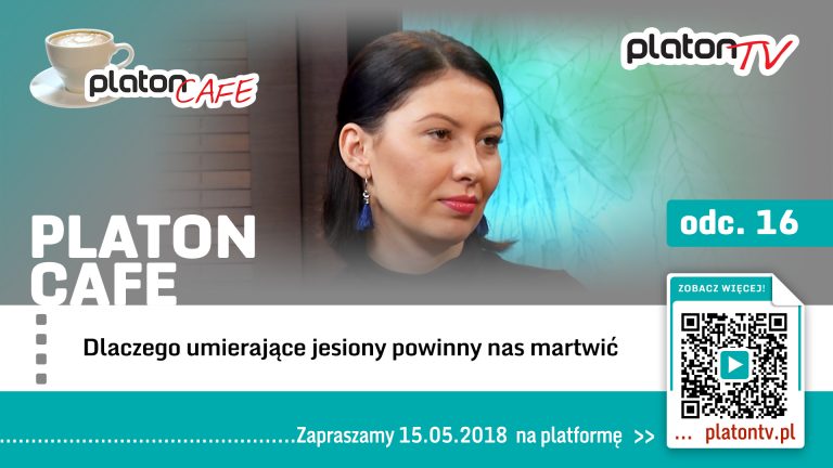 Premiera PlatonTV: Dlaczego umierające jesiony powinny nas martwić?