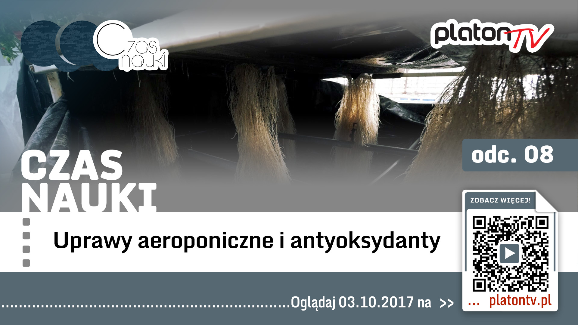 Premiera PlatonTV: „Czas nauki”, odc. 8: Aeroponika i antyoksydanty, czyli trudne, ale jakże ważne i na czasie terminy na literę „a”